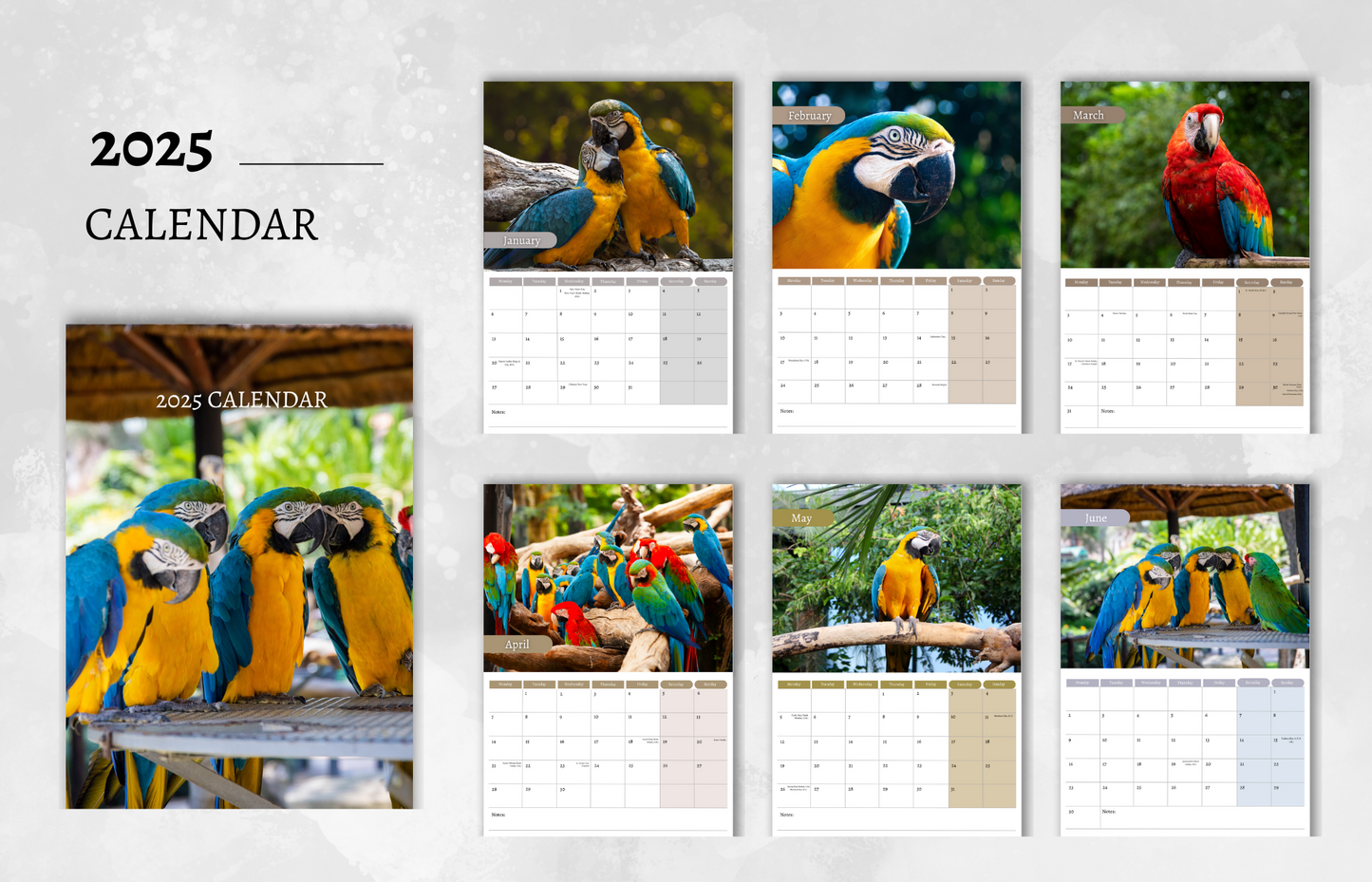 Parrot Calendar 2025