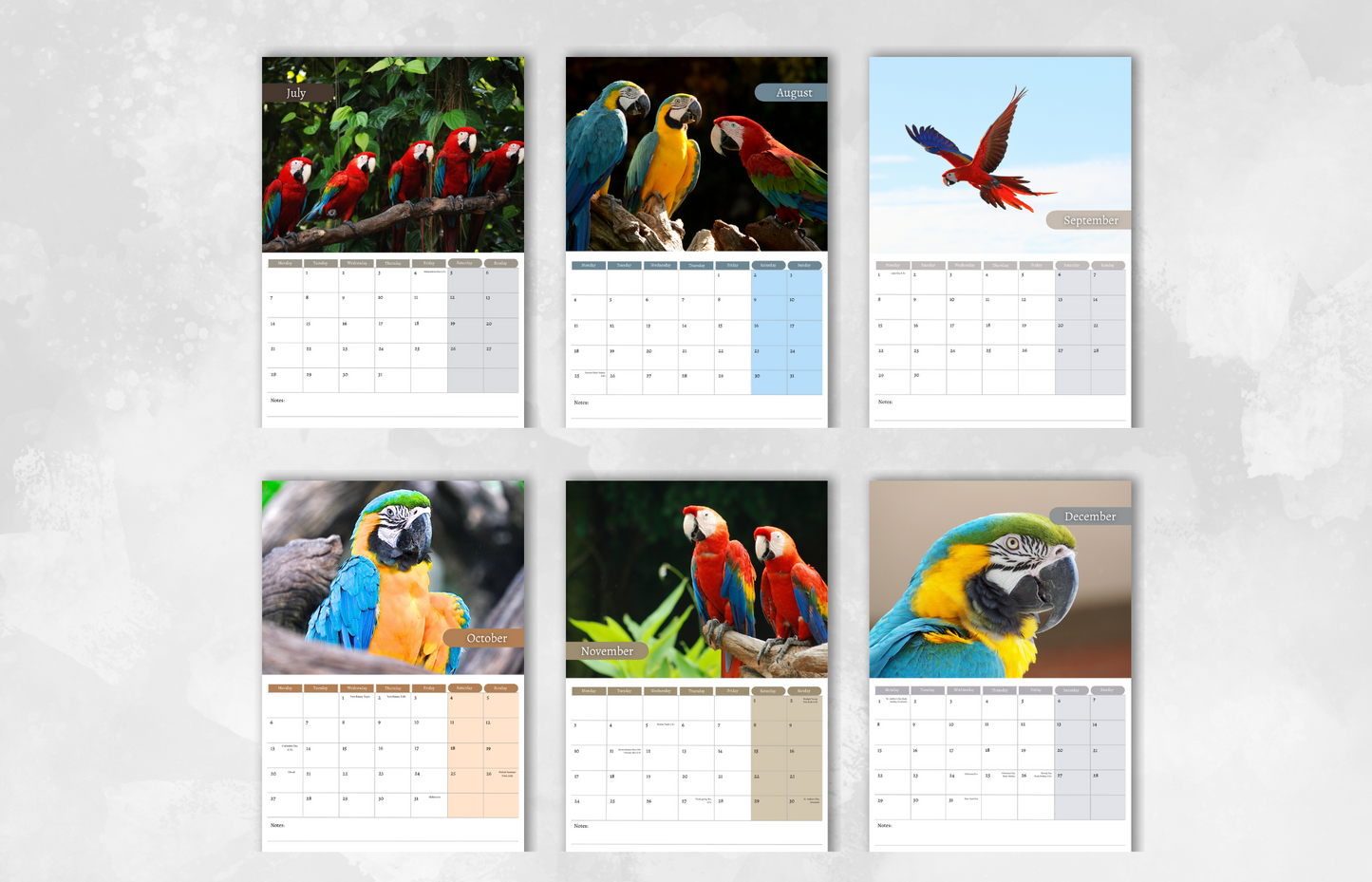 Parrot Calendar 2025