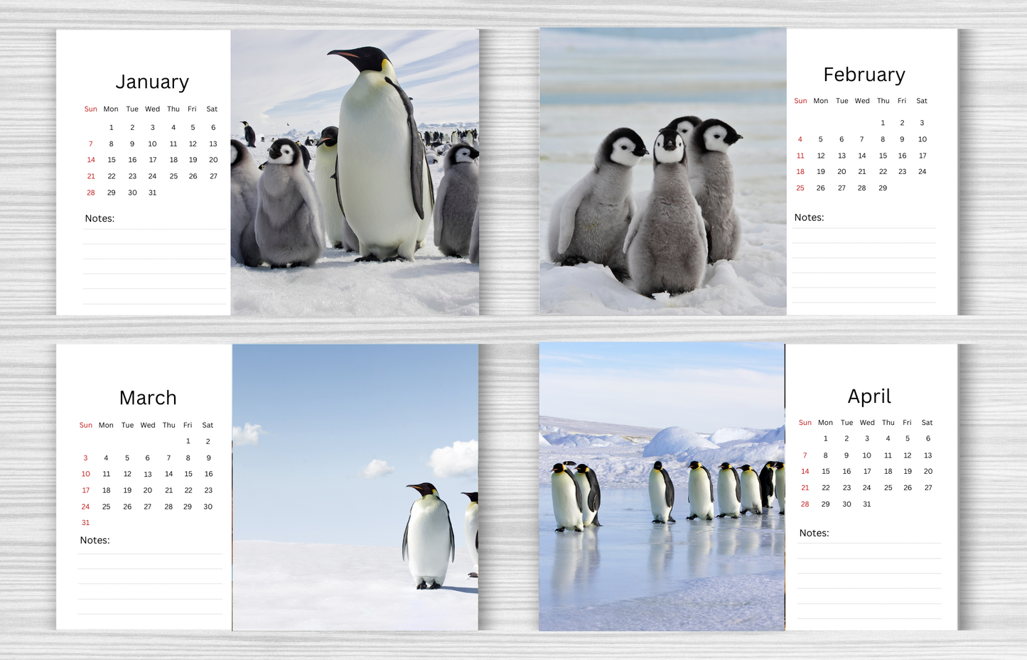 Penguin Desk Calendar 2025