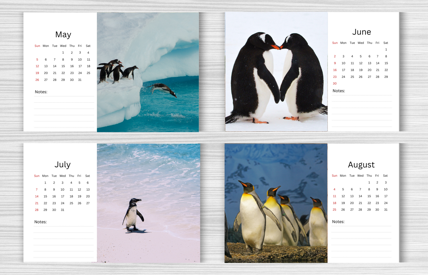 Penguin Desk Calendar 2025