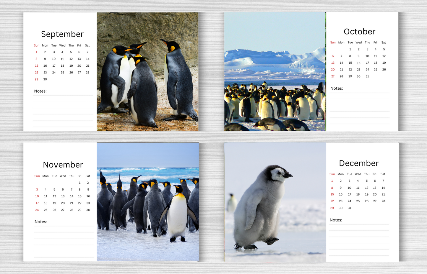 Penguin Desk Calendar 2025