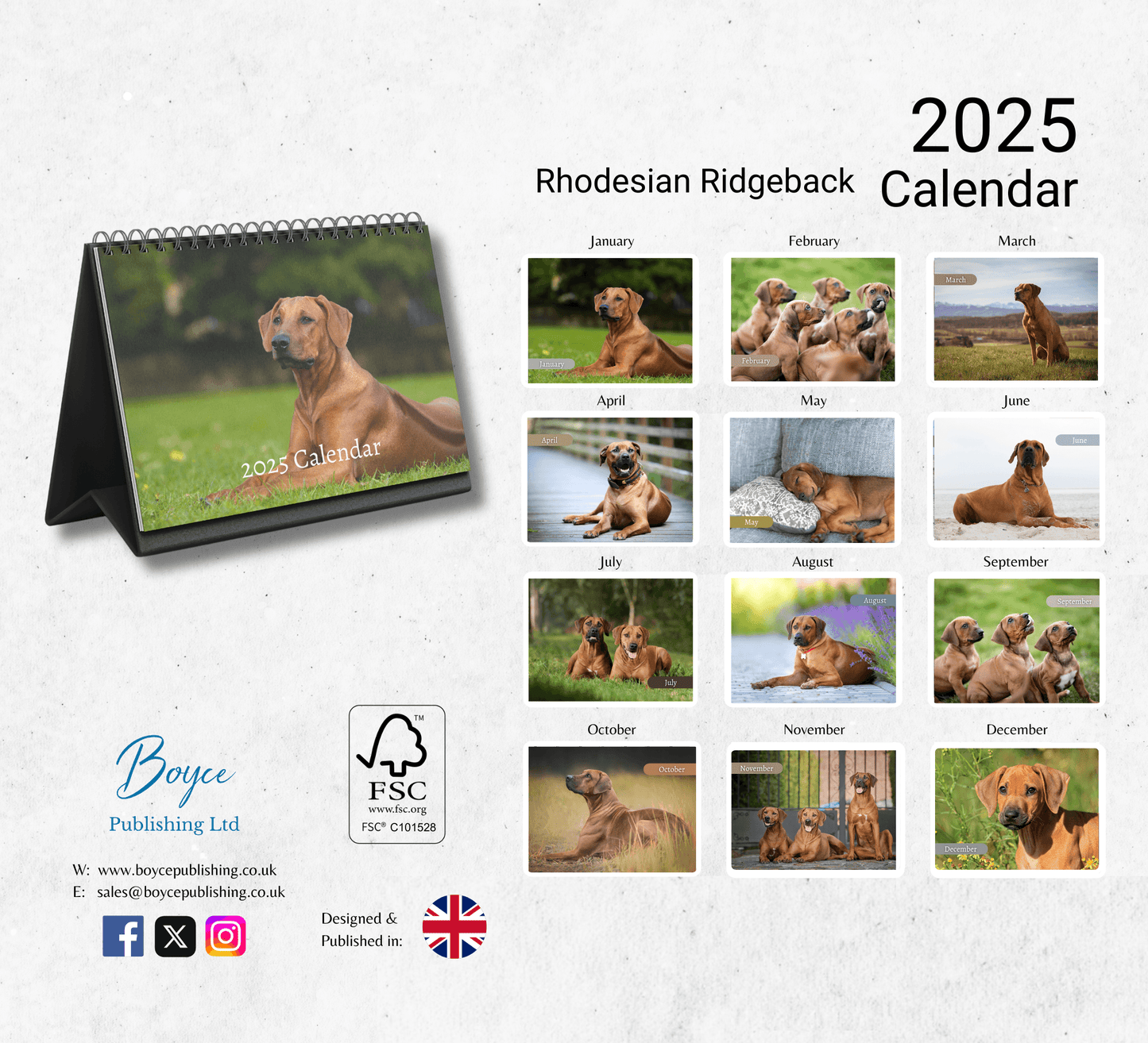 Rhodesian Ridgeback Desk Calendar 2025