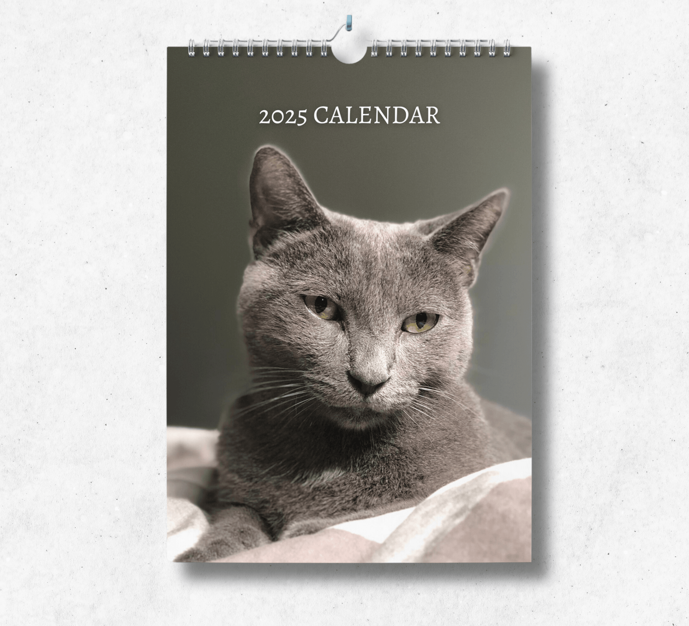 Russian Blue Cat Calendar 2025 Monthly Wall Calendar with Notes