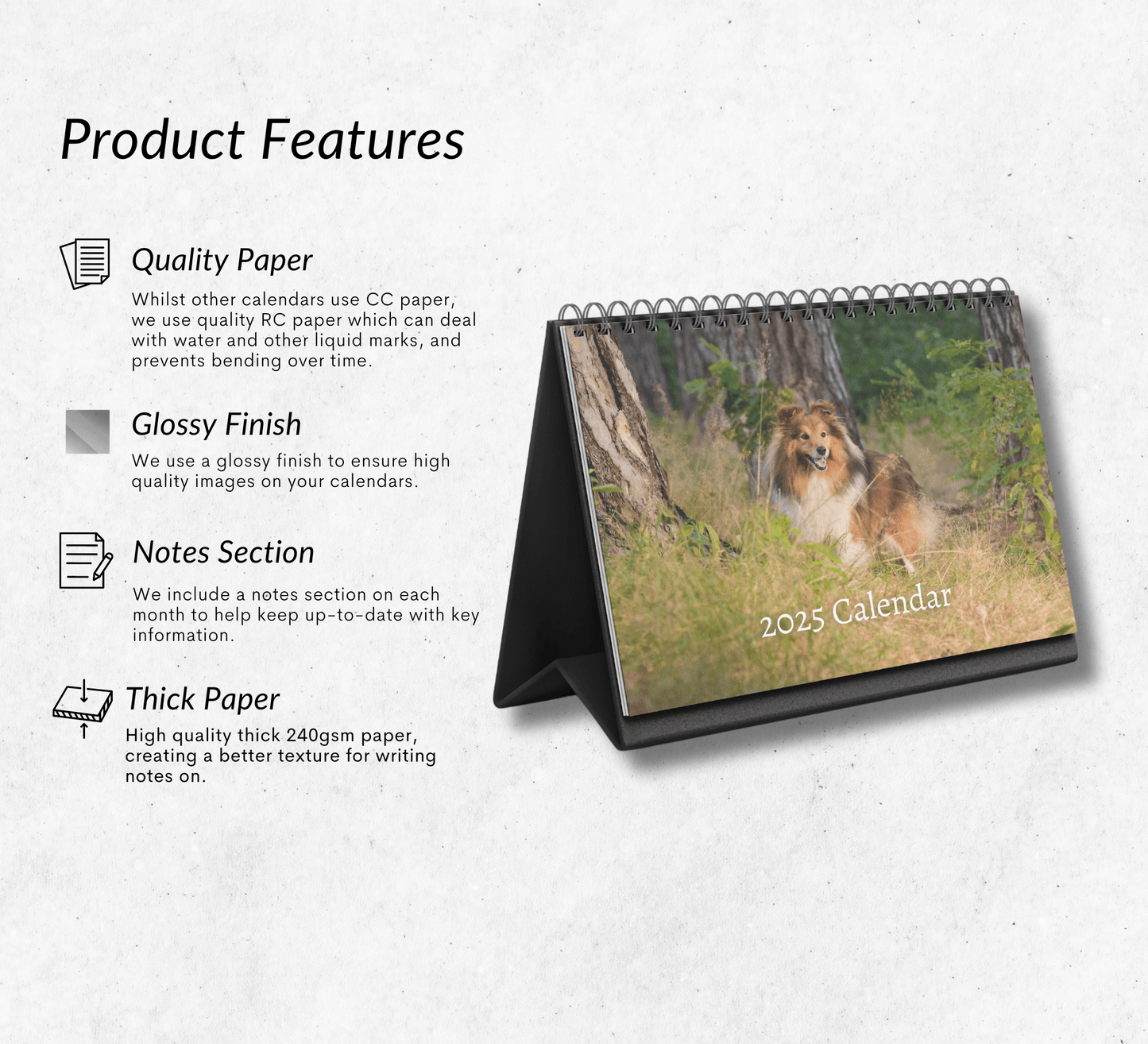 Shetland Sheepdog Desk Calendar 2025