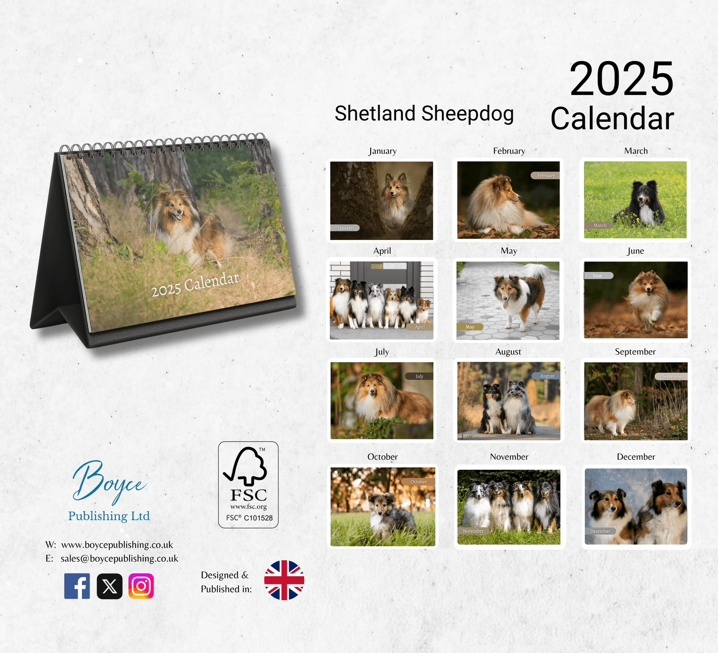 Shetland Sheepdog Desk Calendar 2025