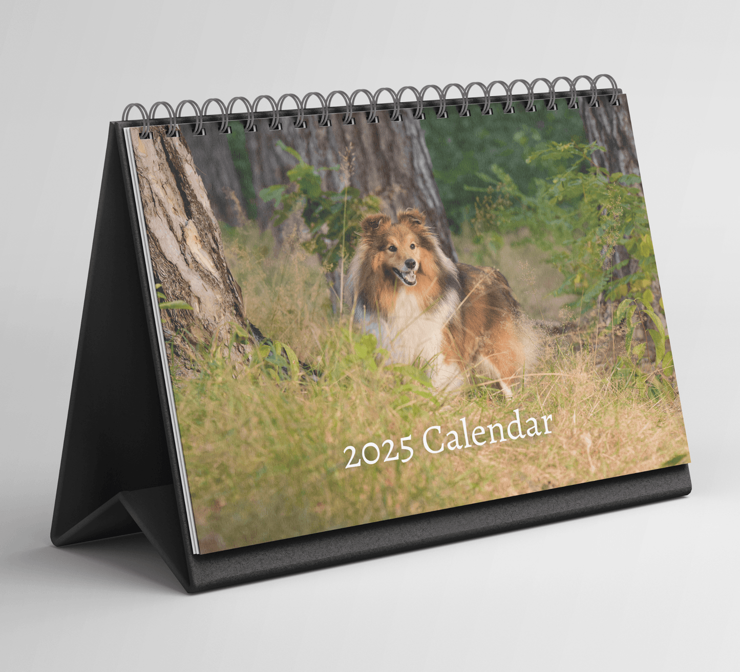Shetland Sheepdog Desk Calendar 2025