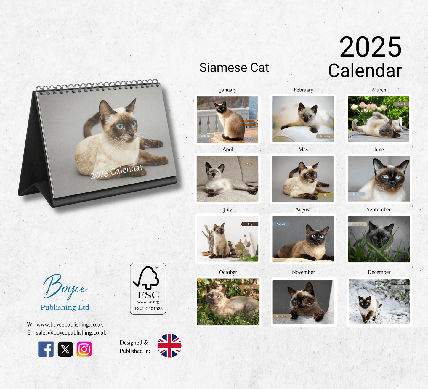 Siamese Cat Desk Calendar 2025