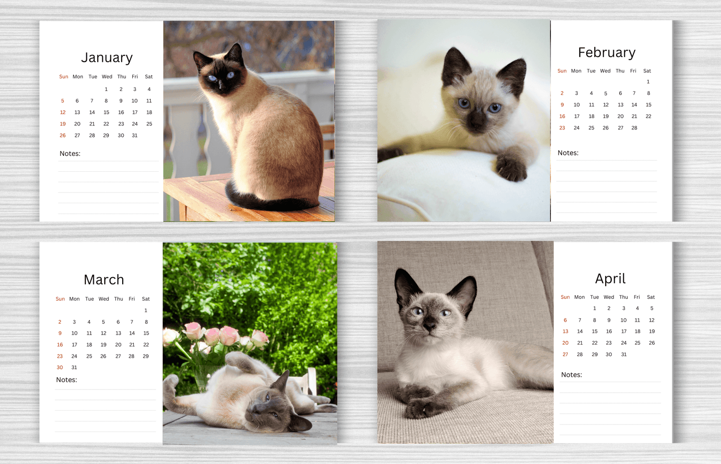 Siamese Cat Desk Calendar 2025