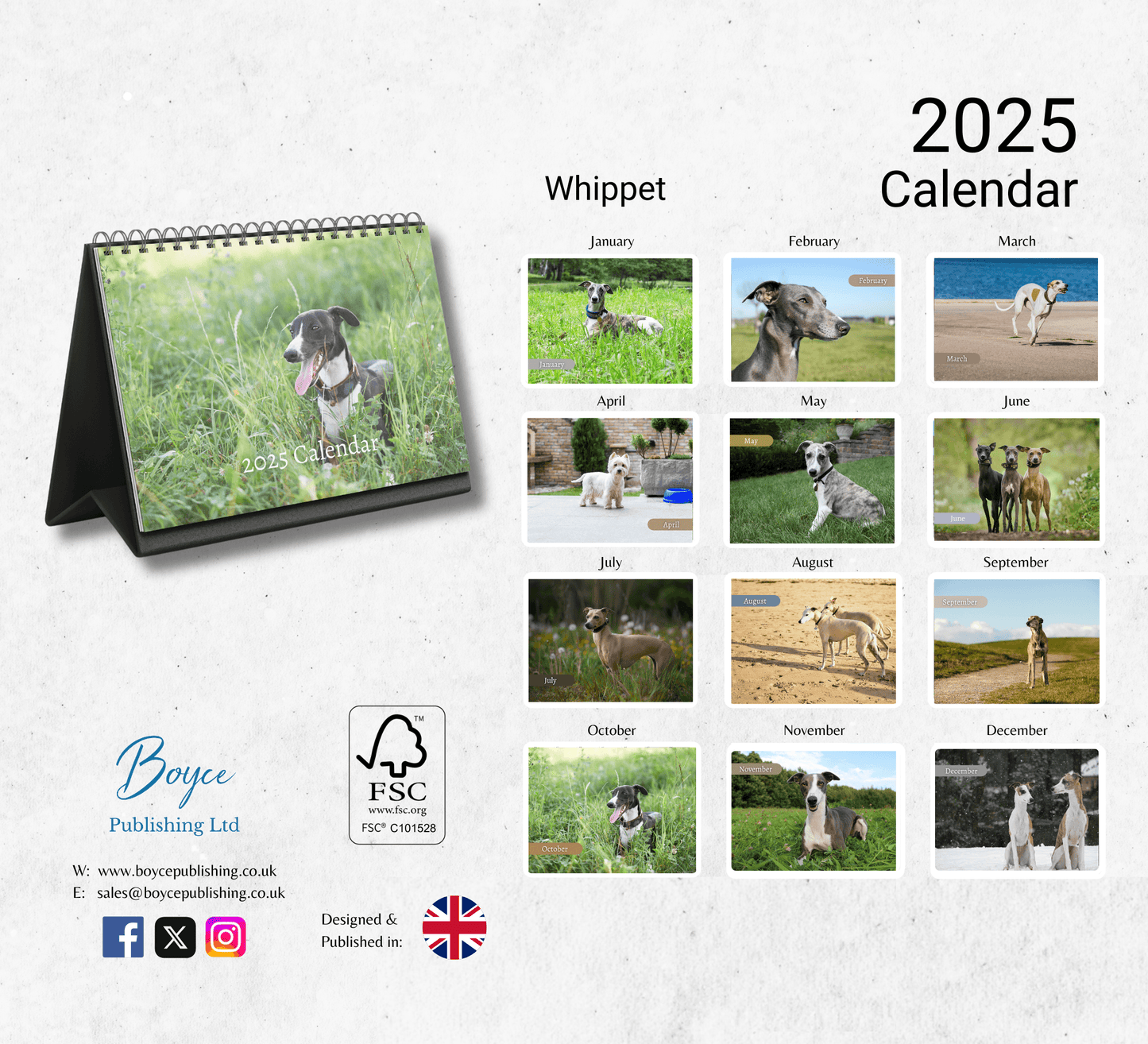Whippet Desk Calendar 2025