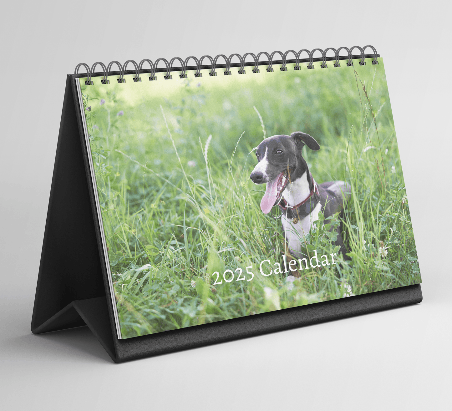 Whippet Desk Calendar 2025