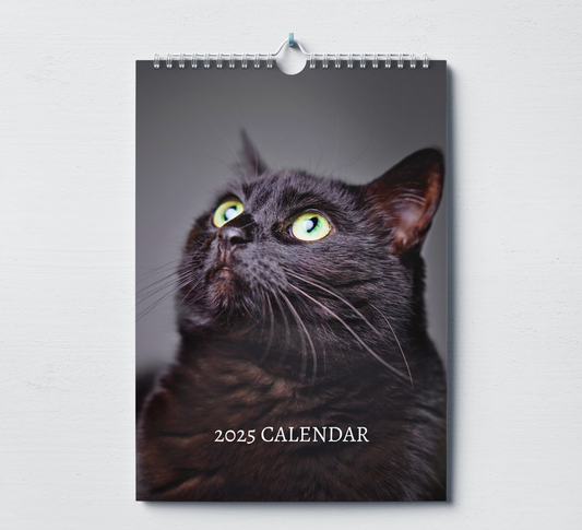 Black Cat Calendar 2025