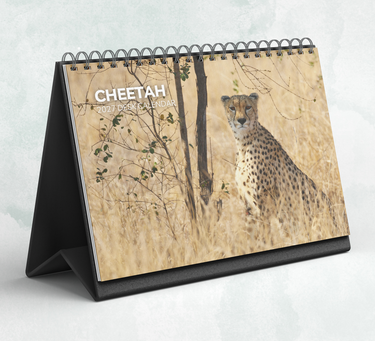 Cheetah Desk Calendar 2027-2028