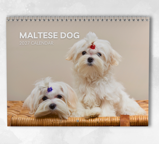 Maltese Dog Calendar 2027