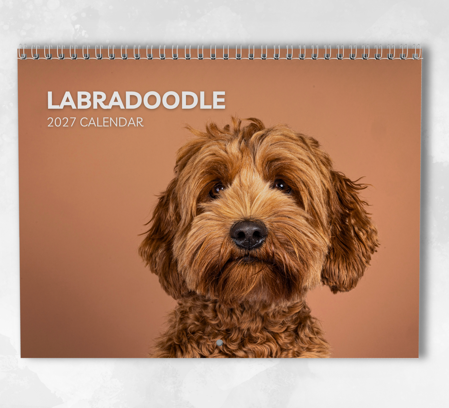 Labradoodle Calendar 2027