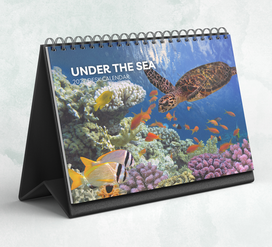Under the Sea Desk Calendar 2027-2028