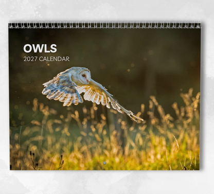 Owl Calendar 2027
