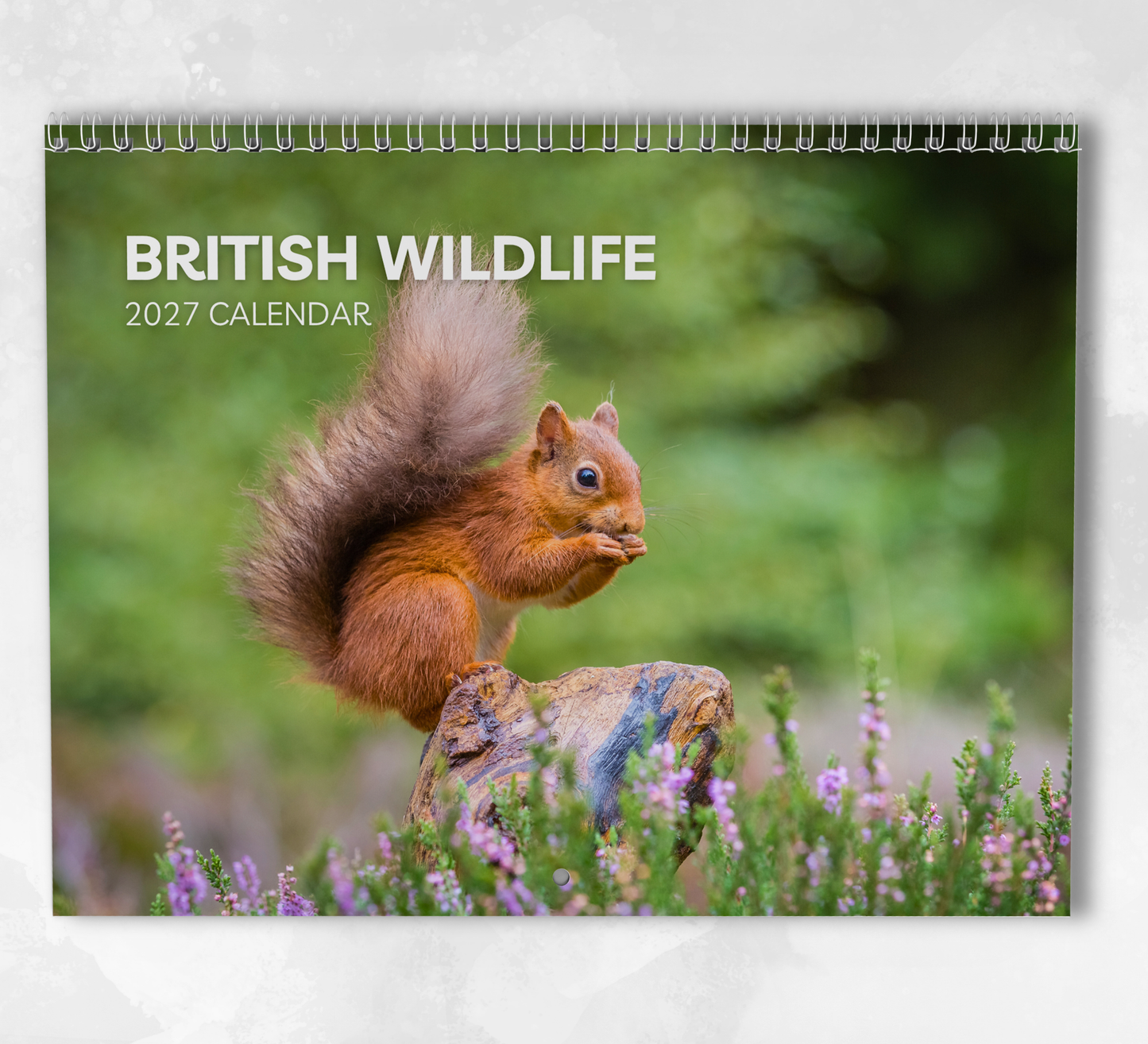 British Wildlife Calendar 2027