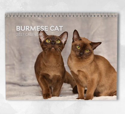 Burmese Cat Calendar 2027