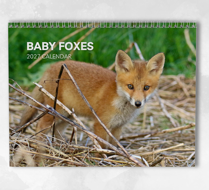 Baby Foxes Calendar 2027