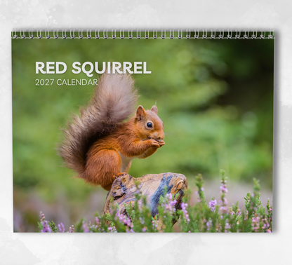 Red squirrel Calendar 2027