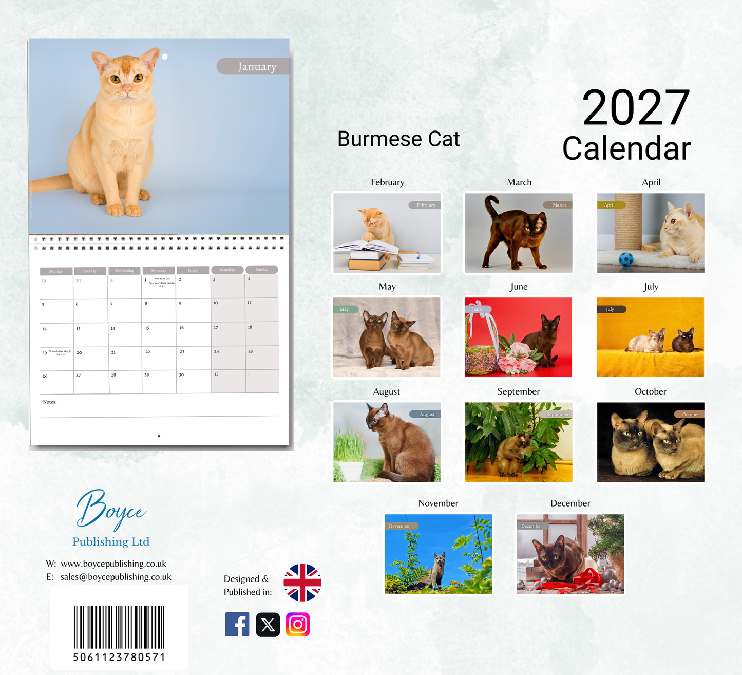 Burmese Cat Calendar 2027