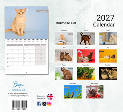 Burmese Cat Calendar 2027