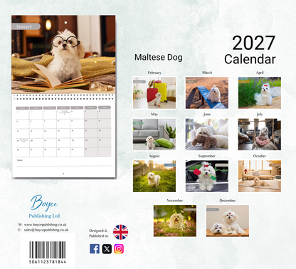 Maltese Dog Calendar 2027