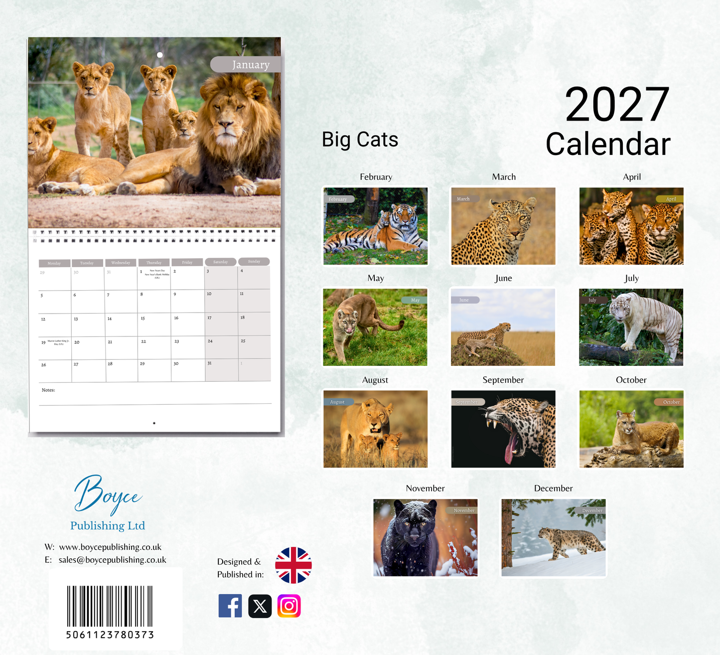 Big Cat Calendar 2027