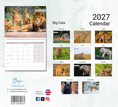 Big Cat Calendar 2027