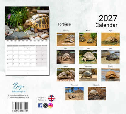 Tortoise Calendar 2027