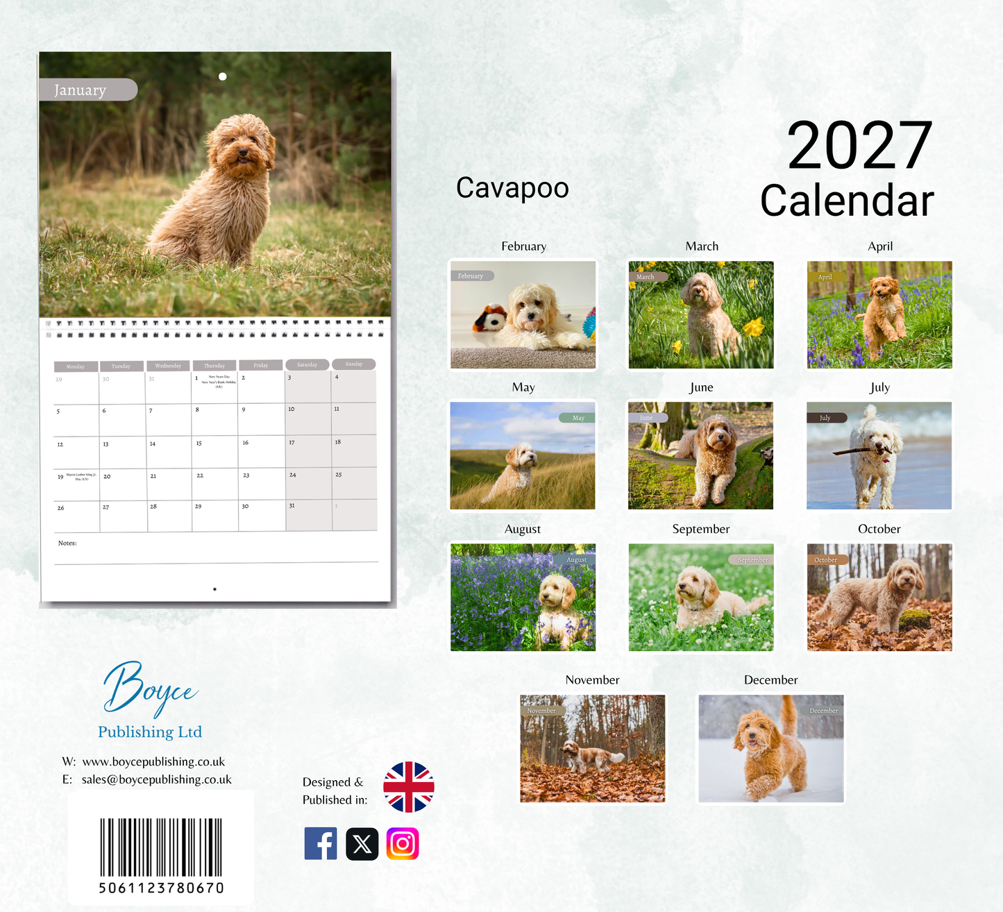 Cavapoo Calendar 2027