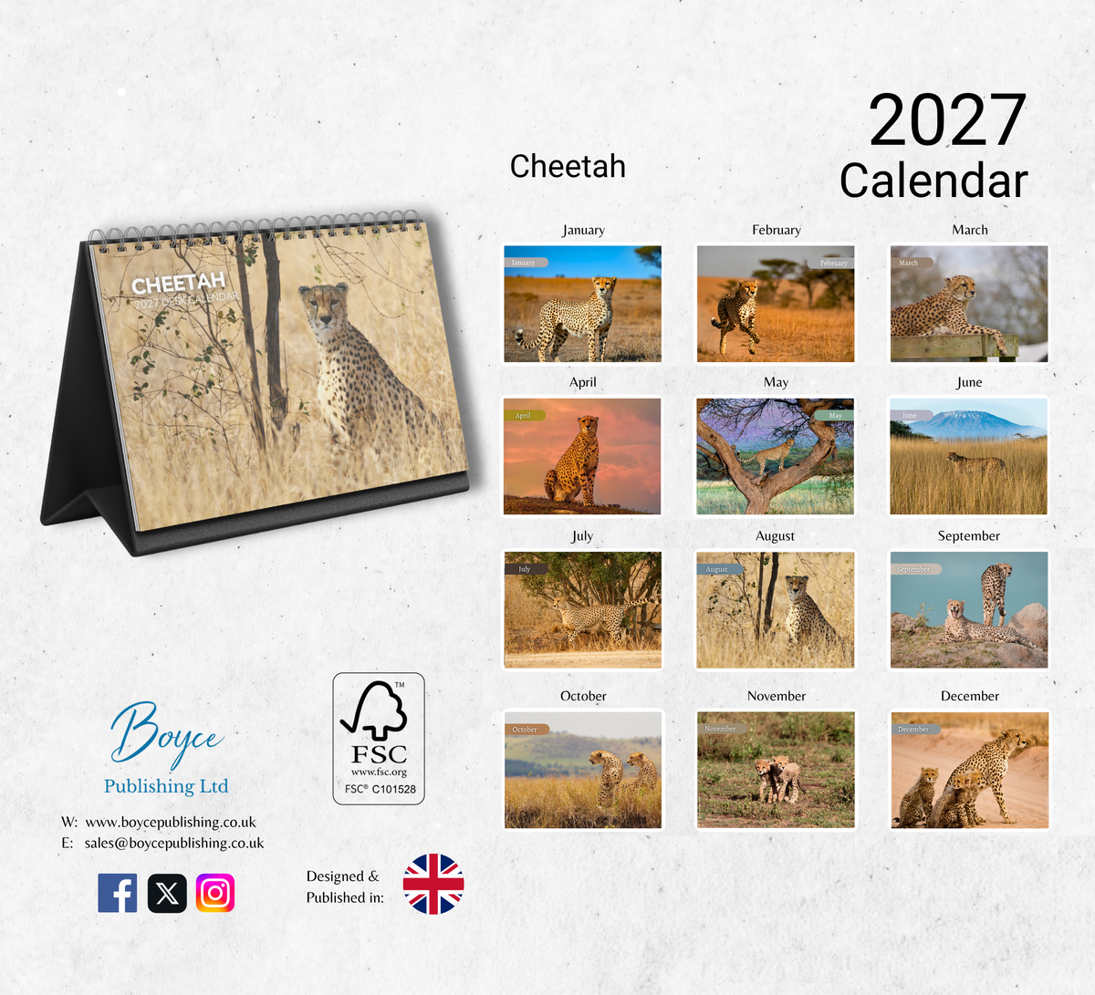 Cheetah Desk Calendar 2027-2028