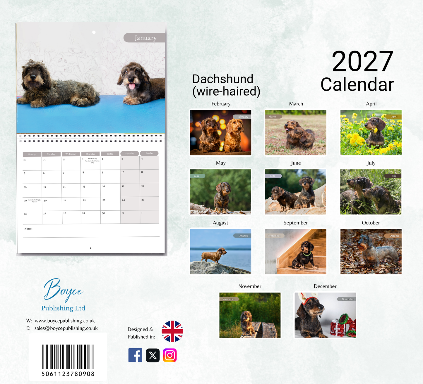 Dachshund (wire haired) Calendar 2027