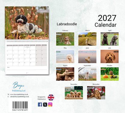 Labradoodle Calendar 2027