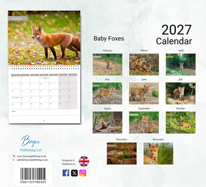 Baby Foxes Calendar 2027