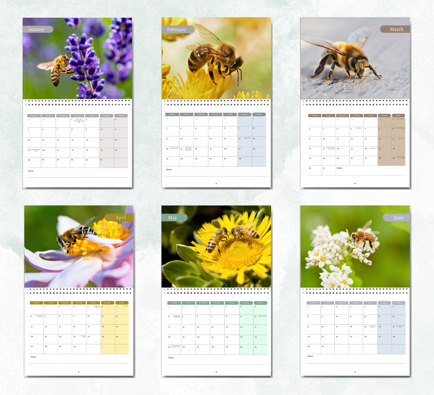 Bee Calendar 2027