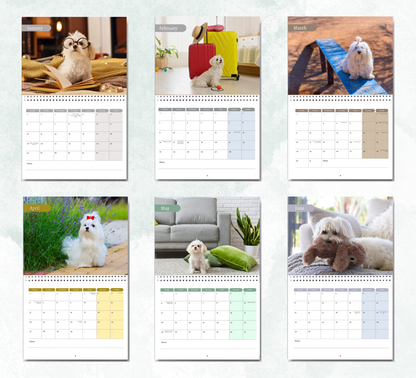 Maltese Dog Calendar 2027