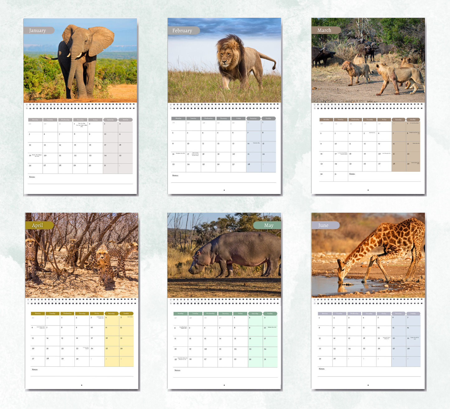 African Wildlife Calendar 2026