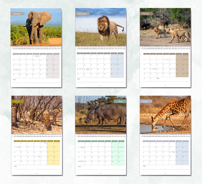 African Wildlife Calendar 2026