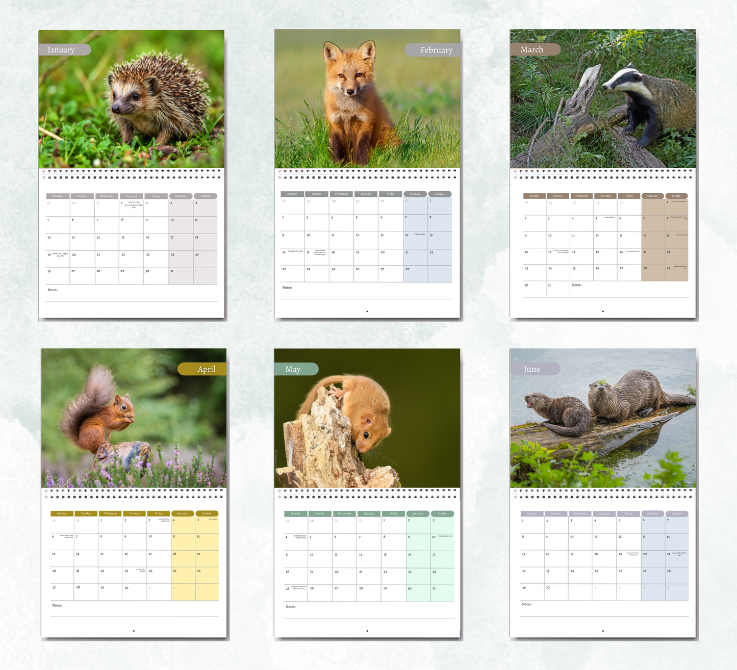 British Wildlife Calendar 2027
