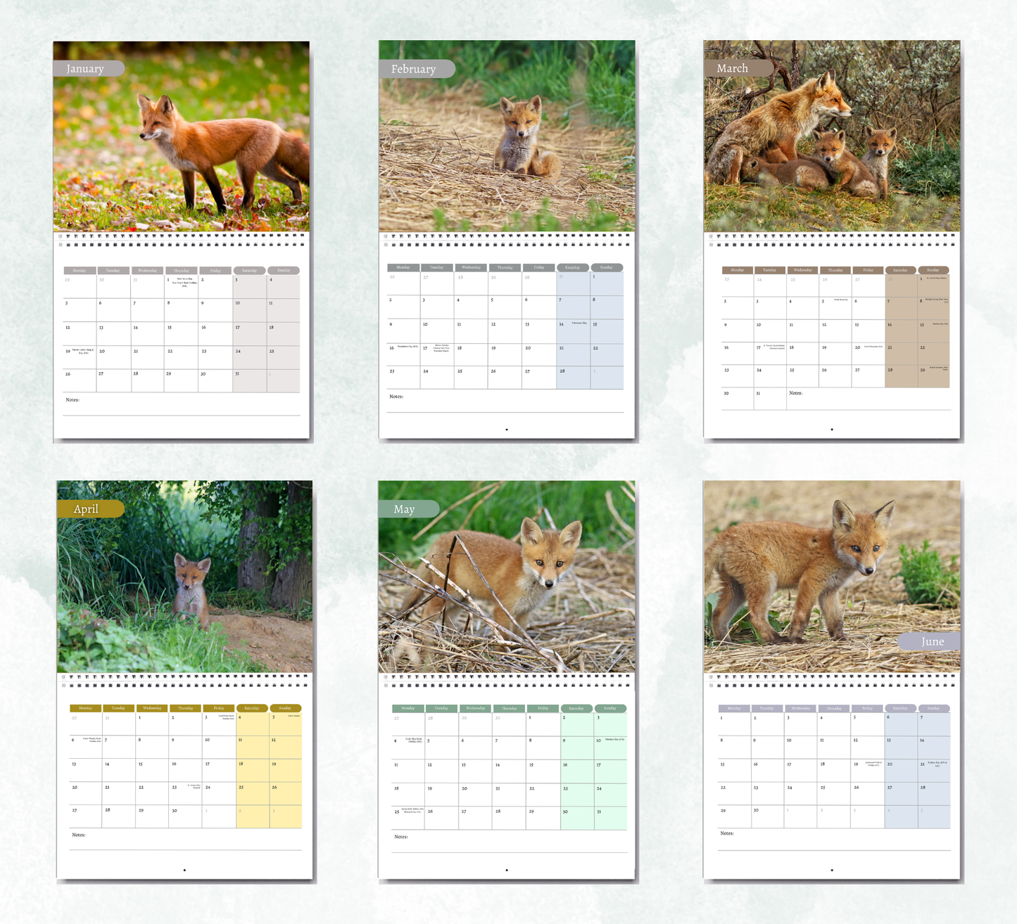 Baby Foxes Calendar 2027