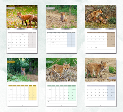 Baby Foxes Calendar 2027