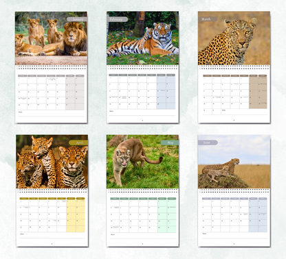 Big Cat Calendar 2027