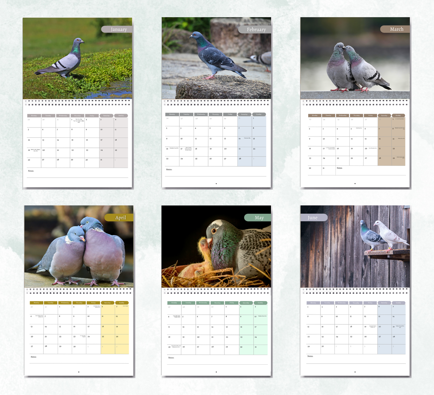 Pigeon Calendar 2027