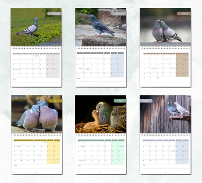 Pigeon Calendar 2027