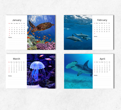 Under the Sea Desk Calendar 2027-2028
