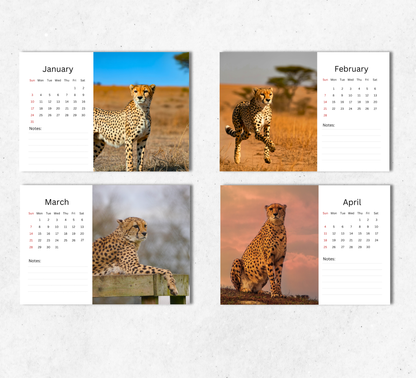 Cheetah Desk Calendar 2027-2028