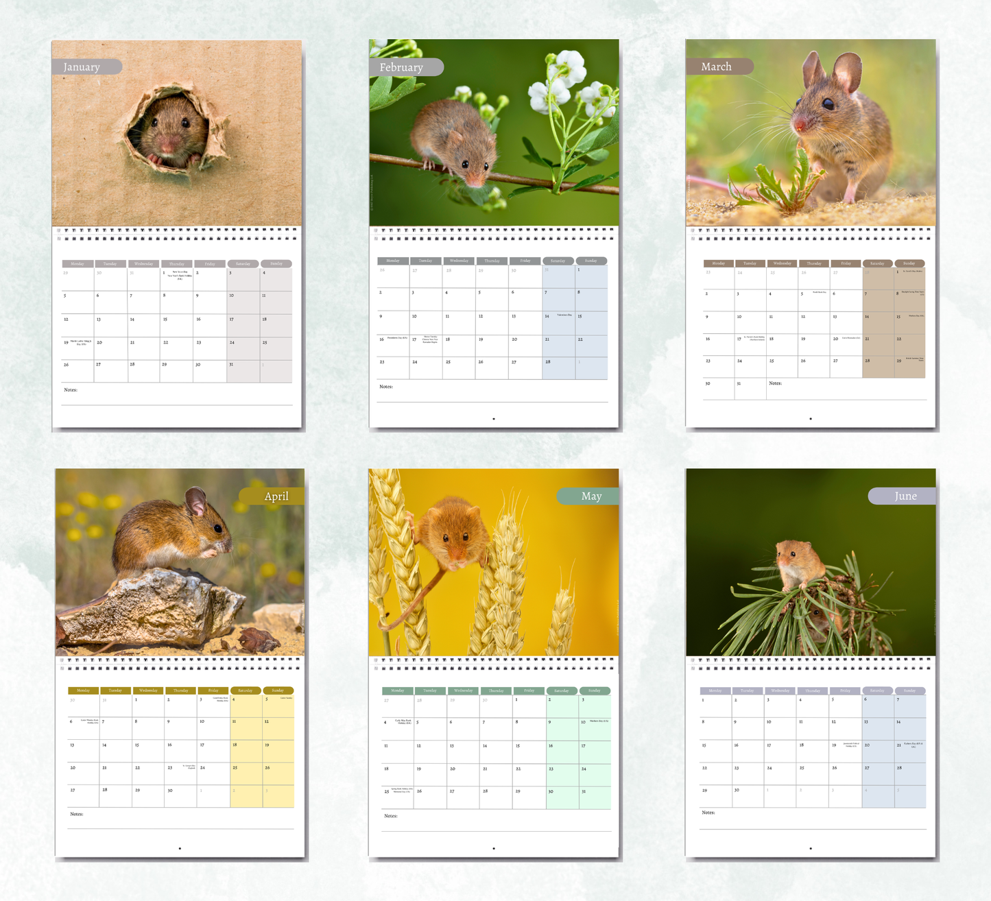 Mouse Calendar 2027