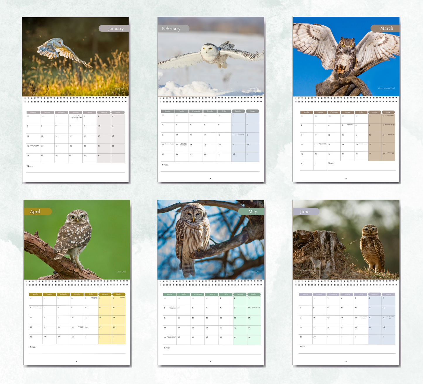 Owl Calendar 2027