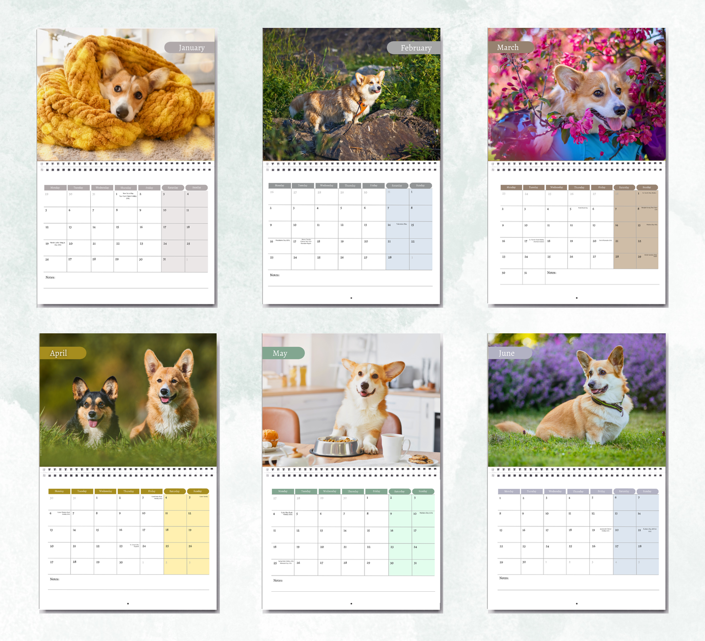 Corgi Calendar 2027